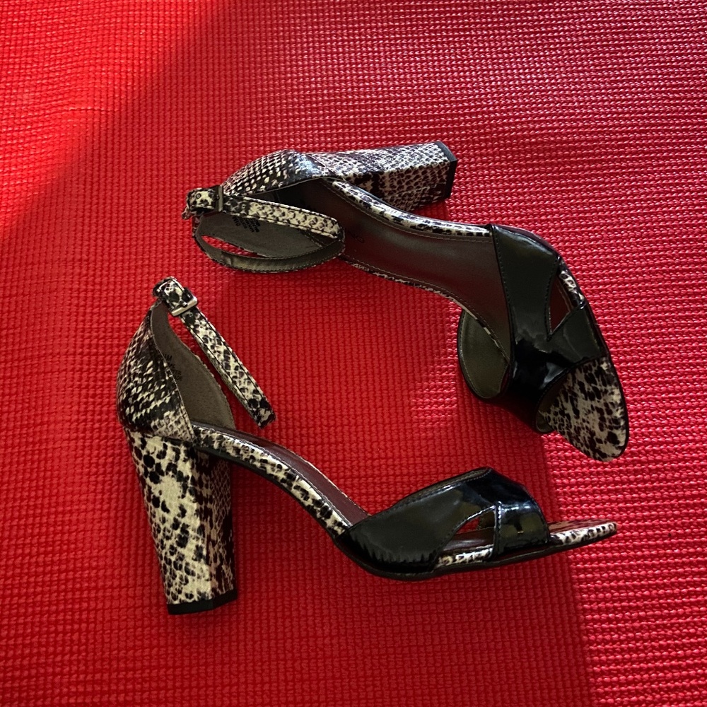 Patent Leather and Snake Print Heels